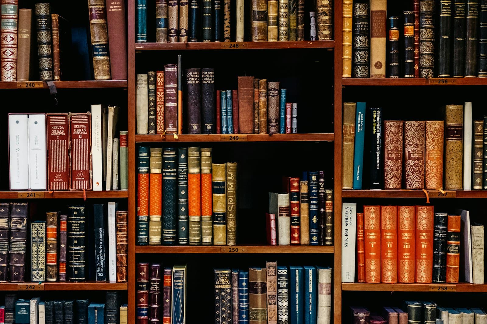 Books arranged on warm wooden library shelves